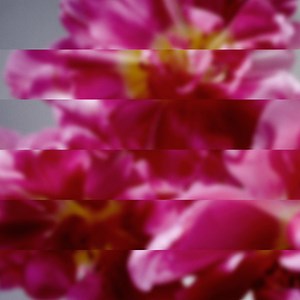 Mondo Grosso - 何度でも新しく生まれる