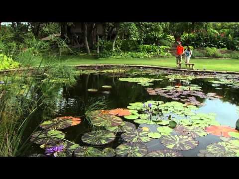 Gardens in Oklahoma City