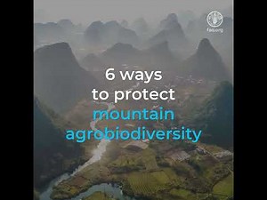 6 ways to protect mountain agrobiodiversity