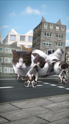 Welcome to Kitty City - Cat Animation Loop Aftereffects