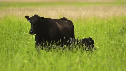 Riverbend Ranch TV Spot, 'A Little Different'