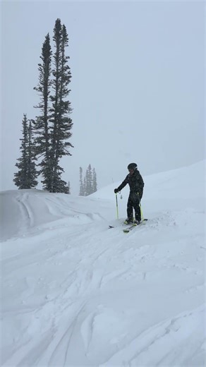 6-7” Last Night #skiing #Alta #brighton #solitude #snowbird