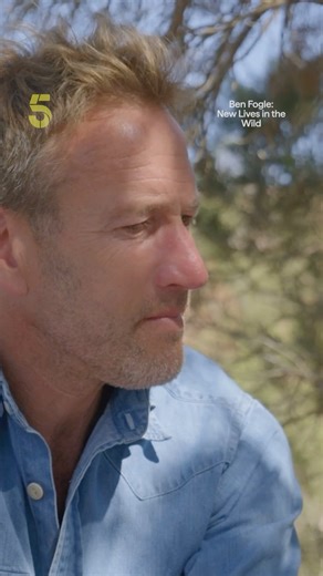 212K views · 1.4K reactions | Ben takes a look at the fascinating world of "unschooling" in which kids learn outside, with minimal structure but a real appetite for education. Watch | Stream on 5 #ItsAllOn5 | Channel 5 | Facebook