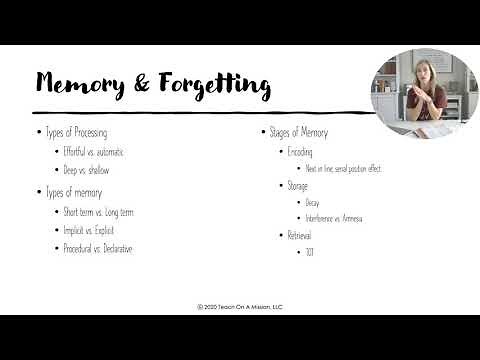 AP Psychology Unit 5 Cognitive Psychology Review Video with Mandy Rice