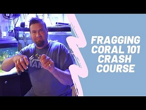 Fragging Coral 101