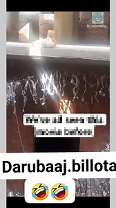 277K views · 6K reactions | Darubaaj#billota#藍藍藍藍藍 #comedy#video#viral | Comedy video | Facebook