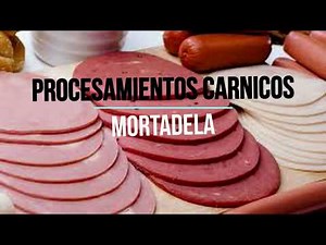 PROCESO DE PREPARACIÓN DE MORTADELA - FMVZ - UNA PUNO