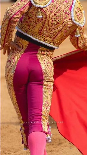 Bull Fight spain