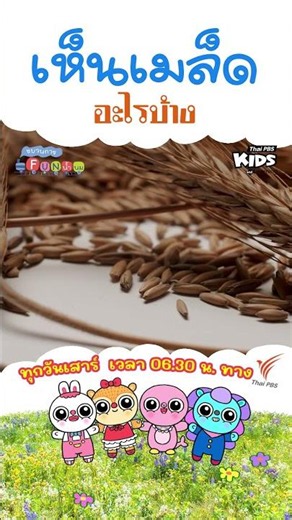 ไหนเด็ก ๆ ลองดูสิ ว่ามีเมล็ดอะไรบ้าง? 🫘 | #ขบวนการfunน้ำนม #ThaiPBSKids #shorts
