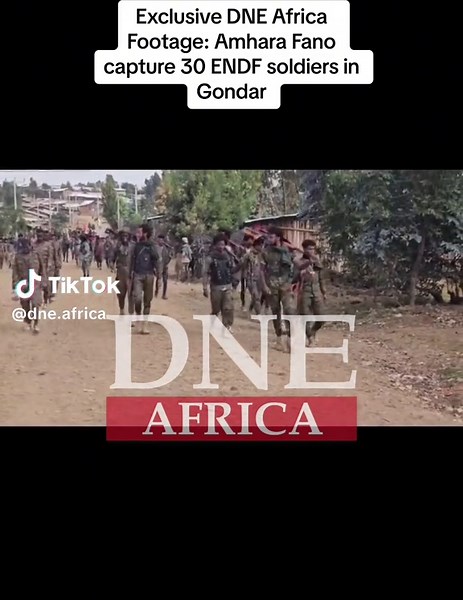 Breaking news! DNE Africa got exclusive footage showing a capture of what is reported to be roughly 30 Ethiopian soldiers in Gondar by Amhara Fano forces, allegedly led by Habte Wolde #ethiopia #amhara #fano #endf #amharatiktok