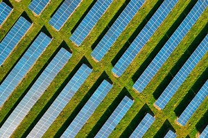 Contoh Teknologi yang Terinspirasi dari Jaringan atau Organ Tumbuhan - Bobo