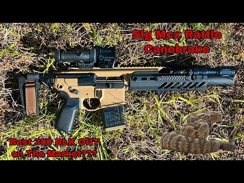 Sig Saurer Mcx Rattler Canebrake / Overview / My Setup First Person POV