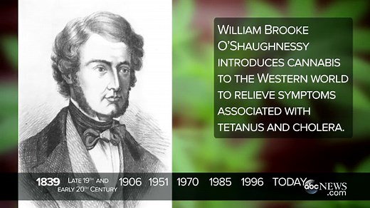 Medical Marijuana: A Timeline