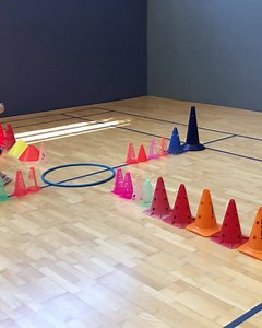 Follow this proven system you can even custom to your own needs. | Motorskilllearning