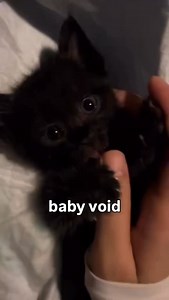 how many universes has he destroyed? | Soft Cat Memes