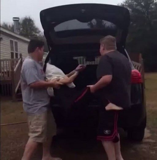 The best friend song 😃