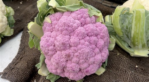 Applications open for farmers market coupons for seniors, recipients express concern over changes