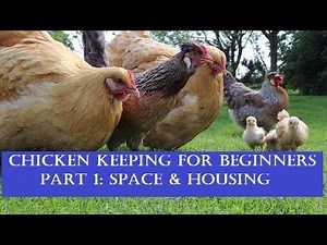 Chicken Keeping for Beginners, Part 1: Space and Housing