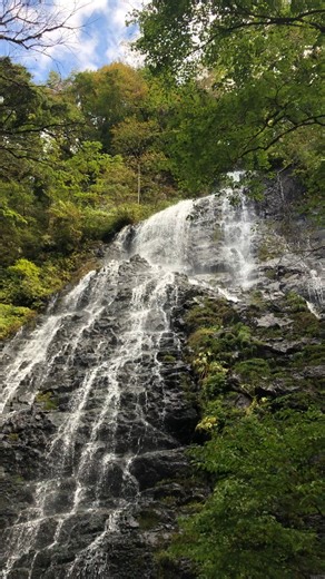 12 reactions | 情報サイトAll About「福井県で秋に行きたい滝」 ランキング1位に選ばれた龍双ヶ滝。...