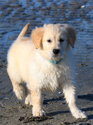 Le sable et Belle : une journée amusante à la plage