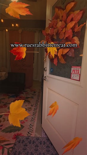 We are completely booked for #thankgiving . #rabbitboarding #rabbitmom #bunniesoftiktok #foryoupage