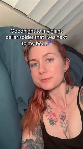 Shenay the bug girl 🕷🪲🦂 on Instagram: "Her name is Tiffany and I love her 🕷️❤️ . . #spider #cellarspider #funny #wholesome #friends #bestie #cute #reels"