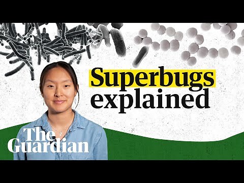 Superbugs explained: what they are and what a post-antibiotic future could look like