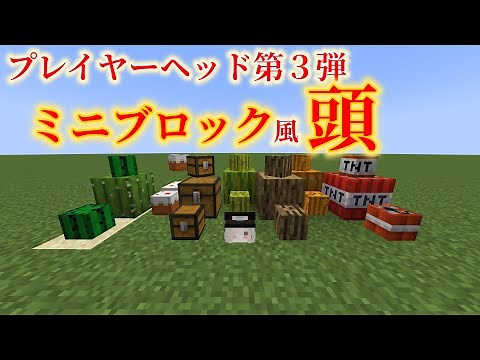 【Minecraft】ミニブロックの頭を出す方法【コマンド】
