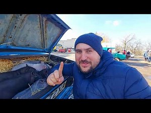 вывез поросят на рынок! продал или нет?