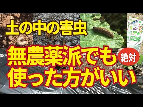 Pest Control for Soil: Diazinon is My Top Recommendation. Even Recommended for Those Who Prefer P...