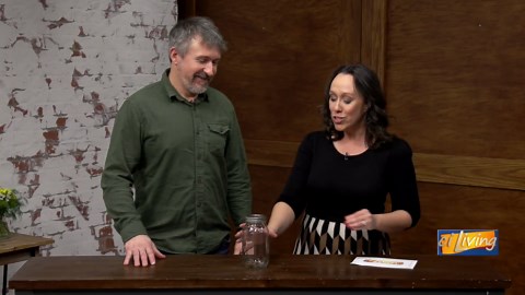 The Reason Ladybugs Swarm in Fall