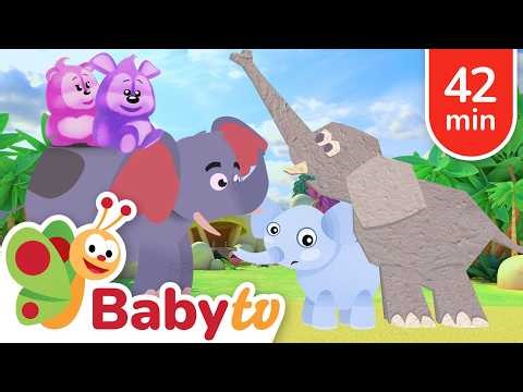 Elephants Up Close! Meet the Biggest Land Animals | Learn Animals with BabyTV