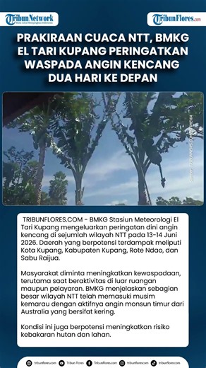 Prakiraan Cuaca NTT, BMKG El Tari Kupang Peringatkan Waspada Angin Kencang Dua Hari Ke Depan