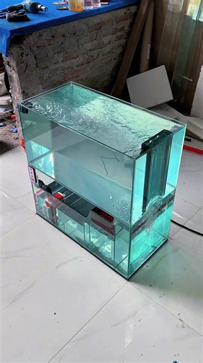 Stylish 60.30.30 Aquarium Setup with 6mm Flat Glass