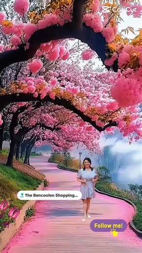 Chris Seow on Instagram: "Monday is the spark to light up your week. A new chapter begins today. 周一是一周的火花，点燃你的精彩. 新的篇章始于今天. 风水，运程，财运，感情，家庭，事业，命理，吉日，安神，祈福，扑运，爱情，情感，流年运程，祈福仪式，拜拜保佑，解签，问事， 问事算命，算命，算命师，健康，婚姻，目前运程，fortuneteller, fortunetelling, fortune reading, psychic, face reading, future predictions, current analysis, financial pursuit, romance, marriage, career development, character, health, family, prayer blessing, prayer service, divination, career path reading, date selection, auspicious date 