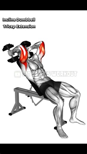 Incline Dumbbell Tricep Extension : BIGGER, STRONGER Arms FAST!