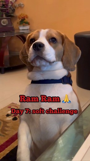 124K views · 10K reactions | Doodle on Reels | Facebook