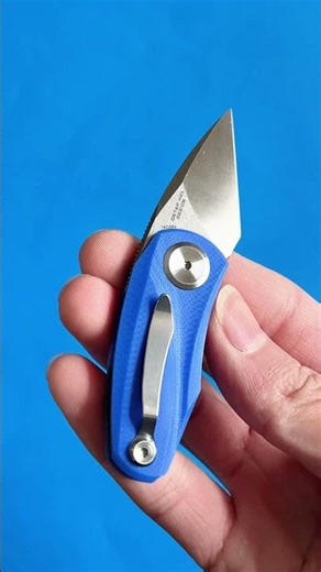 Bestech Tulip 14C28N Blade Blue G10 Handle Liner Lock Folding Knife#edcknife #edc