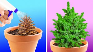 139K views · 1.1K reactions | Planting for beginners How to grow plants from seeds: | 5-Minute MAGIC | Facebook