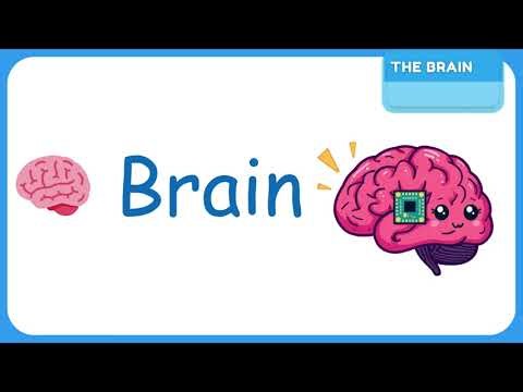 Want to learn Arduino from scratch?