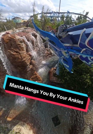 Experience Manta: The Thrilling SeaWorld Roller Coaster