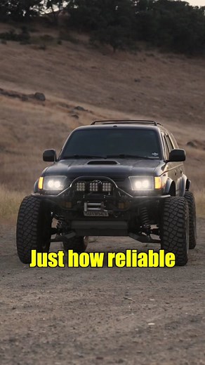 Snowbound Customs on TikTok