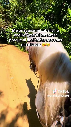 Frases Motivadoras para Montar Caballo