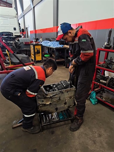 Revisión y Limpieza de Sereltruck en Santa Cruz