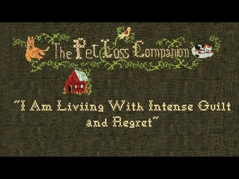 #245 "I Am Living With Intense Guilt and Regret"