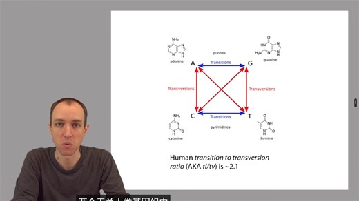 ADS1：Meet the family: global and local alignment（37）