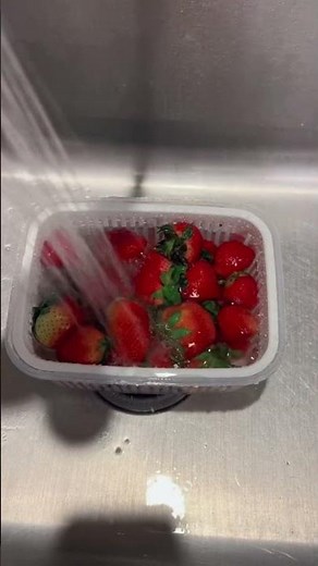 The best food storage containers for fruits and veggies! 🍓🍇🥒🥕