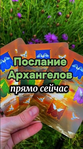 Послание архангелов прямо сейчас #таро