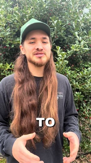 Christmas in Rehab #2 in the books #christmasinrehab #fyp #recovery #songwriter