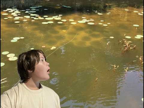 Shellcracker and Bass fishing Lake Marion SC